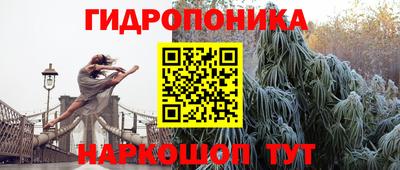 гашик Туймазы